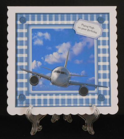 Flying High by Joan Prince