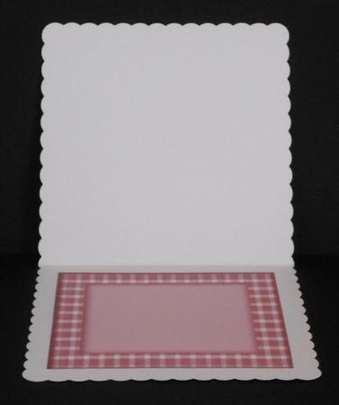 Baby Pink Insert by Joan Prince