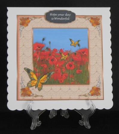 Framed Poppies by Joan Prince