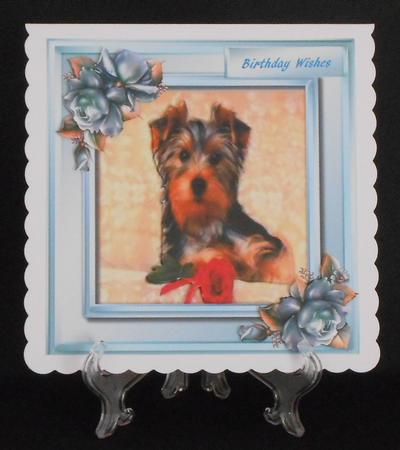 Cute Yorkie and Rroses  by Joan Prince