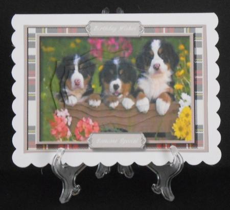Cute Eny- Meany- and Mo , Trio of Pups by Joan Prince