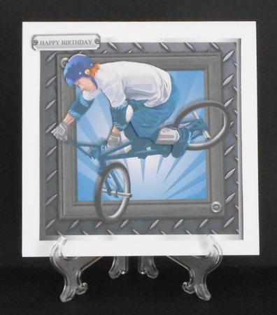 Never Too Old to Ride by Joan Prince
