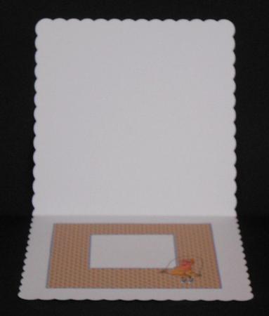 Skipping Insert by Joan Prince