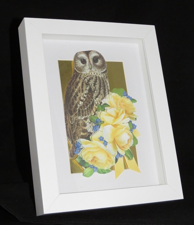 Owl and yellow roses by Lady Rosemary Warboys