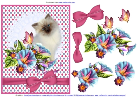 Birthday Colors 1 Digital Pattern Papers Backgrounds 1 by Lady Rosemary Warboys