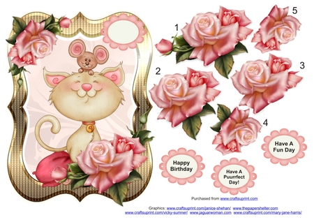 Shiny Chunky Fancy Frames set of 6 by Lady Rosemary Warboys