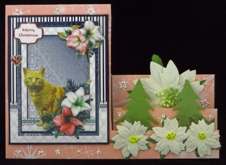 Ginger cat in the Christmas flowers by Lady Rosemary Warboys