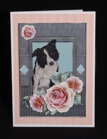 Border Collie by Lady Rosemary Warboys