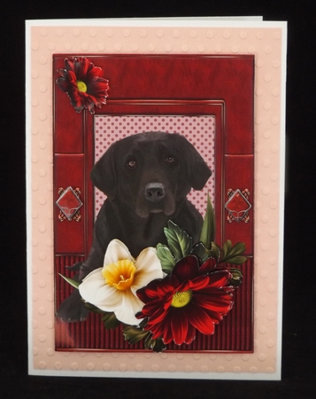 Chocolate Labrador by Lady Rosemary Warboys