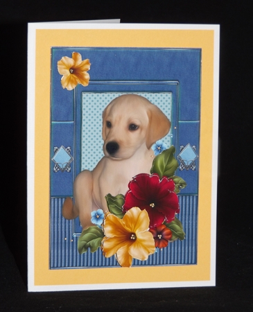 Labrador Pup by Lady Rosemary Warboys