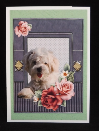 Puppy Love by Lady Rosemary Warboys