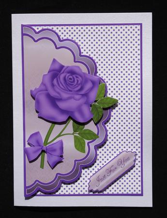 Lovely Mauve Rose Envelope Cardfront by Lady Rosemary Warboys