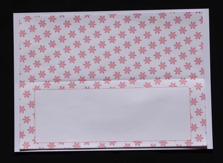 Christmas Snowflakes Insert for Large Dl 3 by Lady Rosemary Warboys