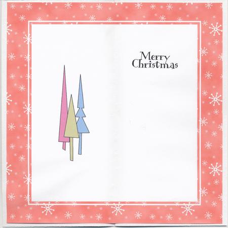 Bumper Value Pack of Dl Christmas Inserts by Lady Rosemary Warboys