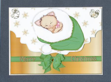 Little Kitty in Green Santa Hat, on a Scalloped Envelope by Lady Rosemary Warboys