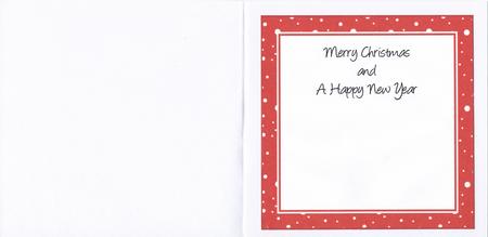 8 x 8 Bright Snow Christmas Inserts by Lady Rosemary Warboys