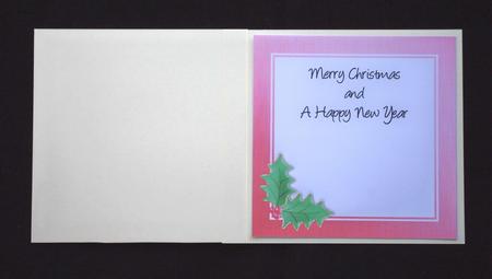 7 x 7 Christmas Holly Inserts by Lady Rosemary Warboys