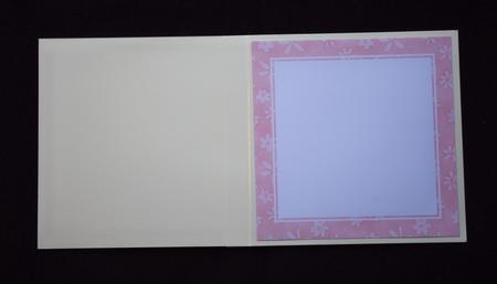 7 x 7 Pretty Floral Blank Inserts by Lady Rosemary Warboys