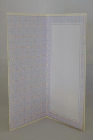 Dl Male Patterned Blank Inserts by Lady Rosemary Warboys