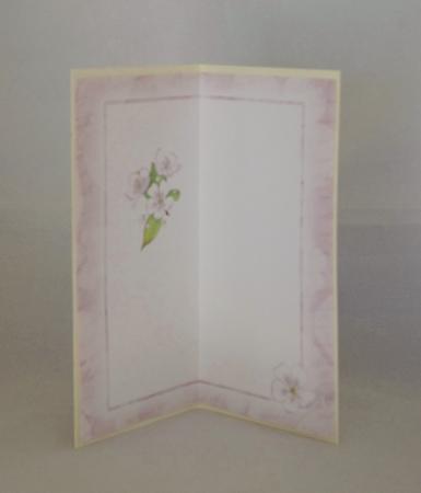 Bumper Value Pack of Apple Blossom Dl Inserts by Lady Rosemary Warboys