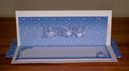 Xmas Bradley Matching Large Dl Insert by Lady Rosemary Warboys