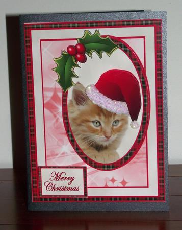 Christmas Kitty by Lady Rosemary Warboys