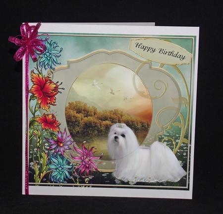 Lovely Maltese Card Front by Lady Rosemary Warboys