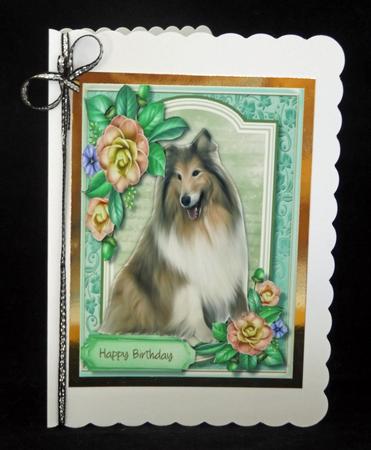 Beautiful Border Collie with Camellias  by Lady Rosemary Warboys
