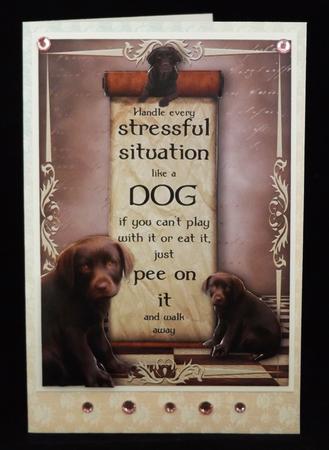 Handle Every Stressful Situation Like a Dog - chocolate Lab by Lady Rosemary Warboys