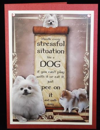 Handle Every Stressful Situation Like a Dog - pomeranian by Lady Rosemary Warboys