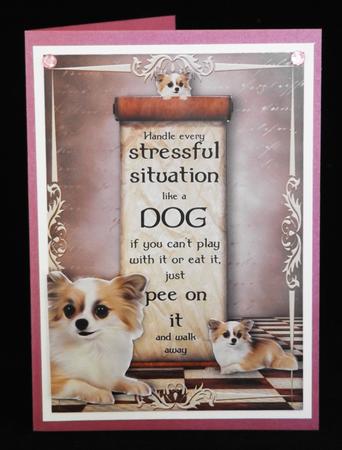 Handle Every Stressful Situation Like a Dog - chihuahua by Lady Rosemary Warboys