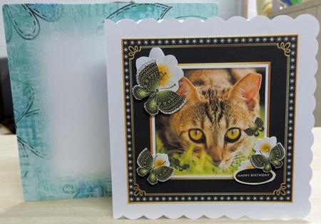 Adorable Amber Kitty by Lady Rosemary Warboys