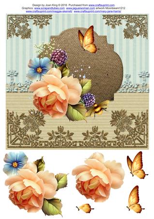 Lace Borders by Lady Rosemary Warboys