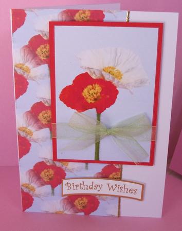 Poppy Duo Card Kit by Joanne Brangham