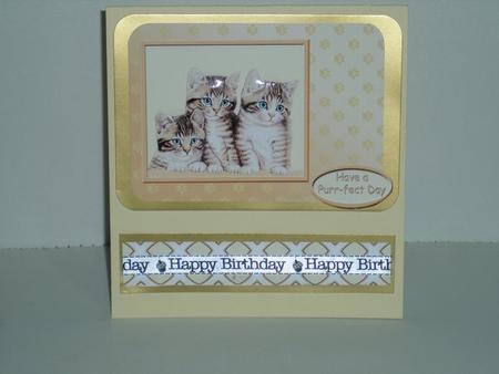 Furry Friends Kit 1 - Kittens & Puppies by Joanne Kelly