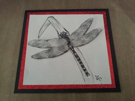 Hand Drawn Dragonfly by Joanne Kelly