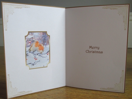 Christmas Robins Insert 1 by Johanna Lambert