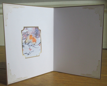Christmas Robins Insert 2 by Johanna Lambert