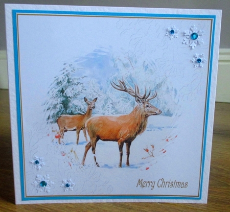 Christmas Stag 7x7ins Insert 2 by Johanna Lambert