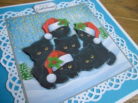 Lucky Black Christmas Cats by Johanna Lambert