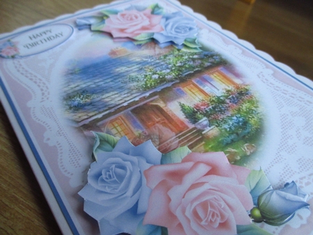 Lace and Roses 16 by Johanna Lambert