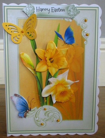 Spring Daffodils 5x7 by Johanna Lambert