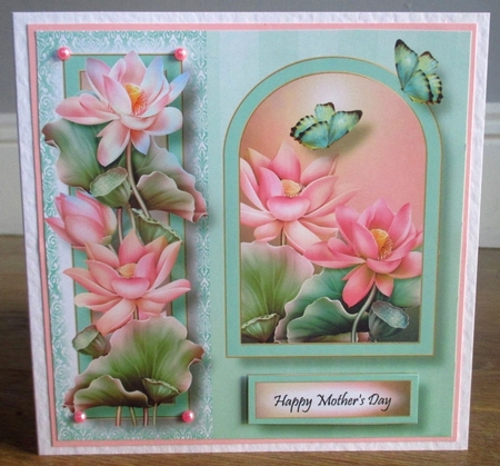 Floral Arched Frame - Lotus 8x8 by Johanna Lambert
