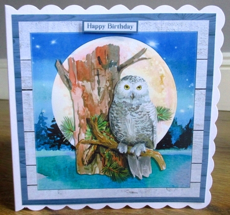 OWL MOON QUICK CARD by Johanna Lambert