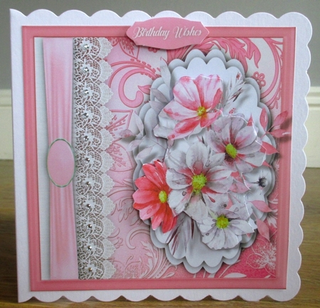 Beautiful Cosmopolitan Flowers  by Johanna Lambert