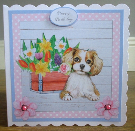 SWEET SPANIEL quick card by Johanna Lambert
