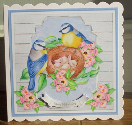 BLUE TITS NEST QUICK CARD by Johanna Lambert