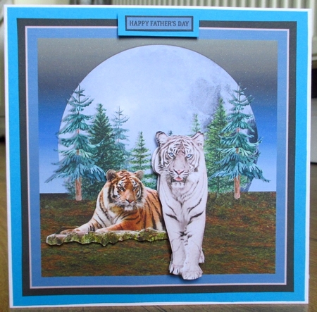 TIGERS QUICK CARD by Johanna Lambert