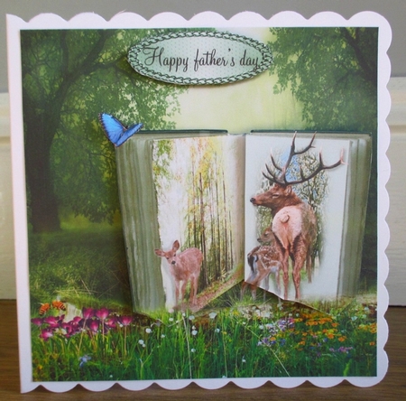 deer book by Johanna Lambert