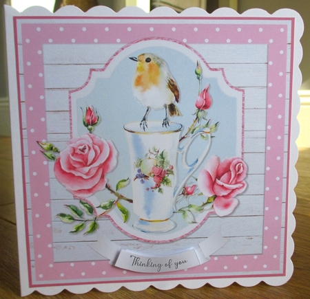 ROSEY ROBIN quick card by Johanna Lambert